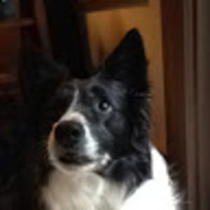 Meet your Posher, Tara